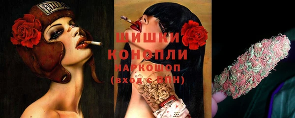 ГАЛЛЮЦИНОГЕННЫЕ ГРИБЫ Абаза