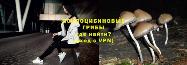 шишки Абдулино