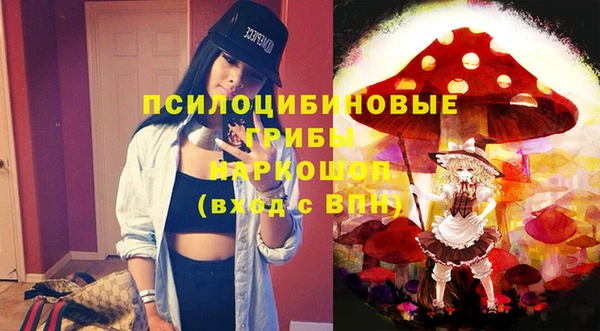 ГАЛЛЮЦИНОГЕННЫЕ ГРИБЫ Абаза