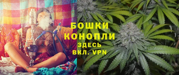 ГАЛЛЮЦИНОГЕННЫЕ ГРИБЫ Абаза