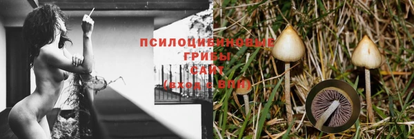 метадон Гусев