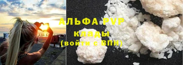 ГАЛЛЮЦИНОГЕННЫЕ ГРИБЫ Абаза