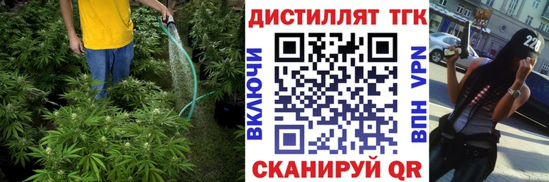 Дистиллят ТГК концентрат Беломорск