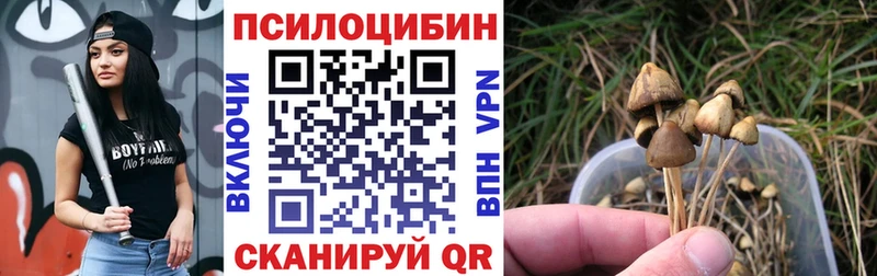 дарнет шоп  Беломорск  ссылка на мегу сайт  Псилоцибиновые грибы Psilocybine cubensis 