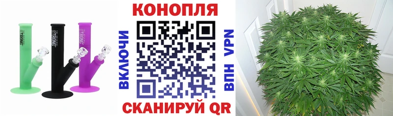 хочу наркоту  Беломорск  Конопля гибрид 
